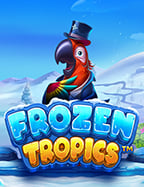 สมัคร สมาชิก joker123 รีวิวพร้อมเคล็ดลับพิชิตเกม